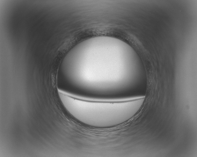 X0000057560025200509160822
