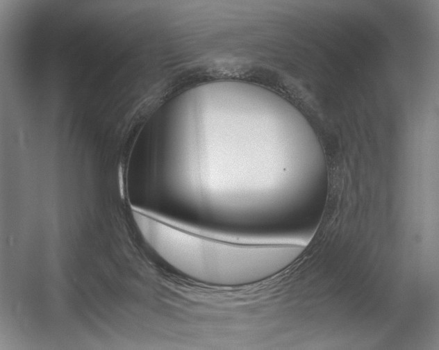X0000057560027200509160822
