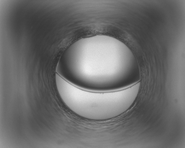 X0000057560029200509160822