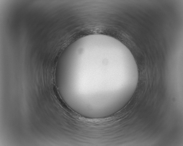X0000057560030200509160822