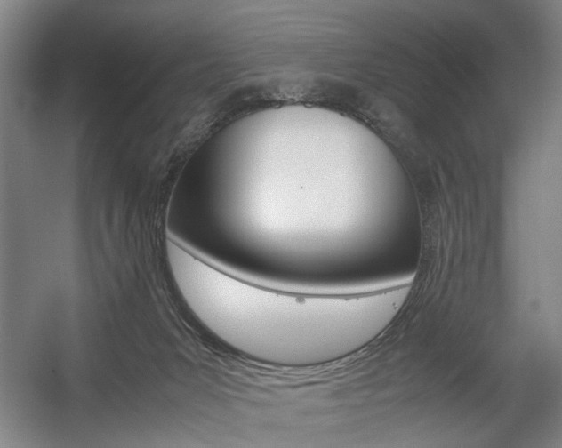 X0000057560031200509160822