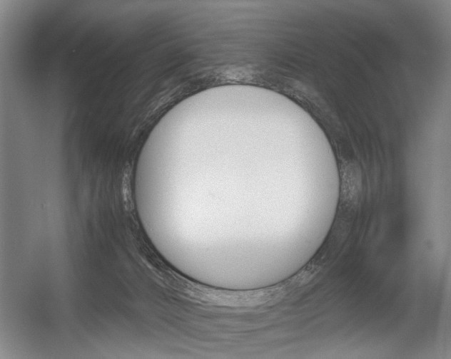 X0000057560032200509160822