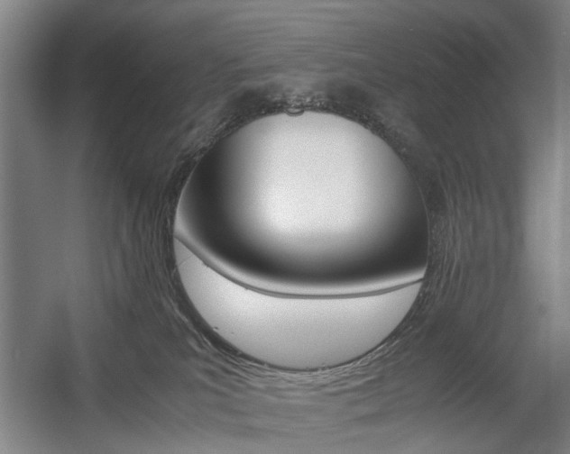 X0000057560039200509160822