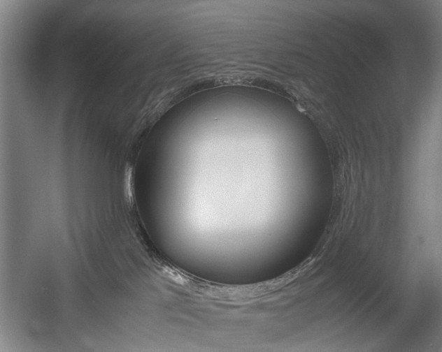X0000057560041200509160822