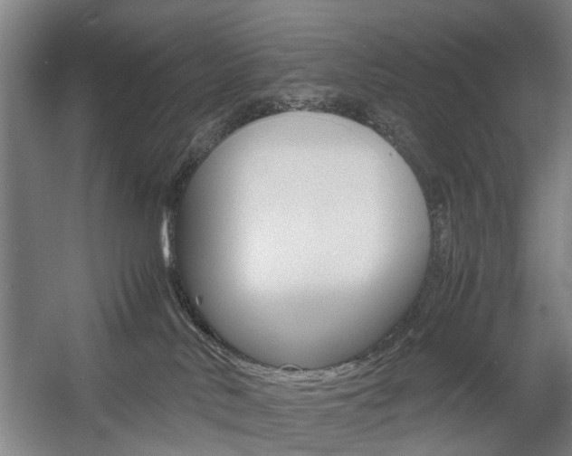 X0000057560042200509160822