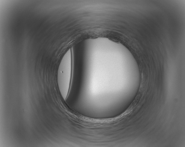 X0000057560048200509160822