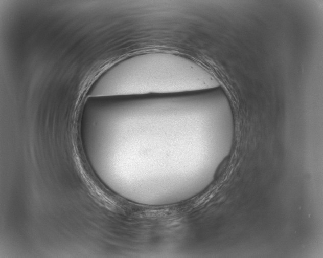 X0000057560049200509160821