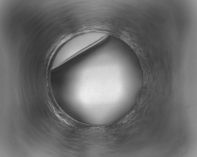 X0000057560050200509160821