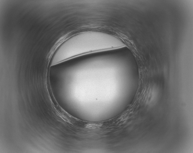 X0000057560051200509160821