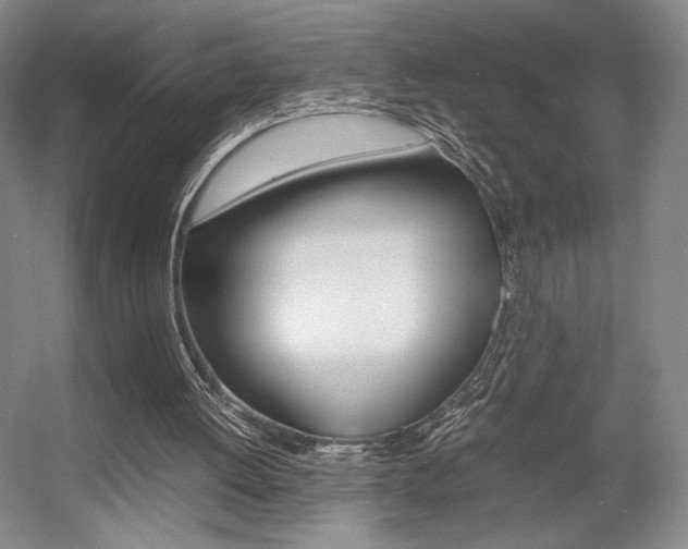 X0000057560052200509160821