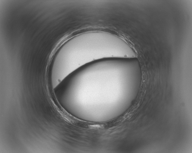 X0000057560053200509160821