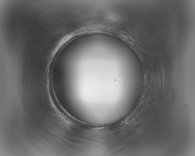 X0000057560054200509160821