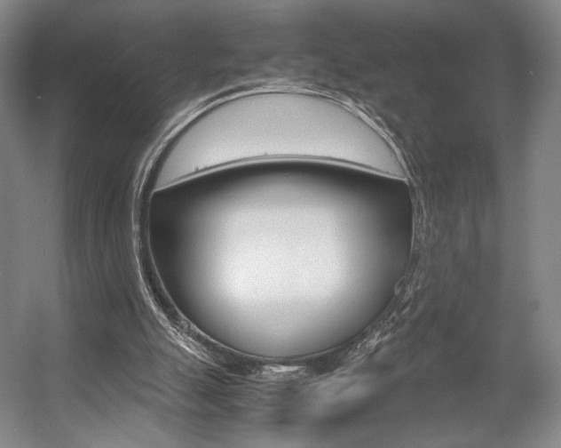 X0000057560055200509160821