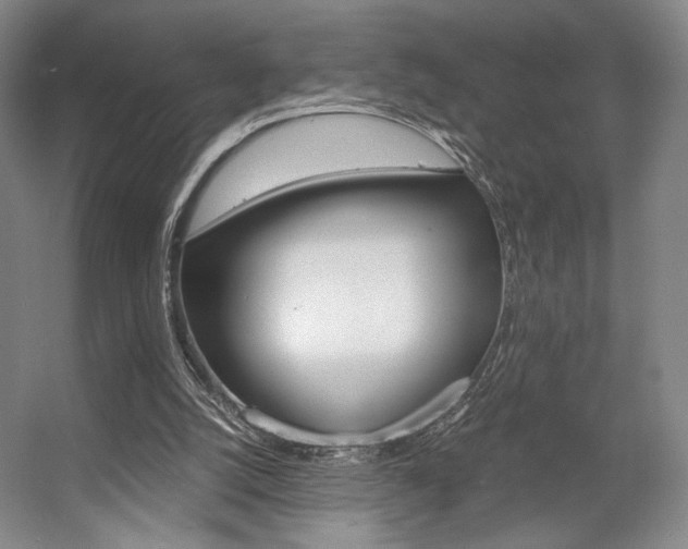 X0000057560056200509160821