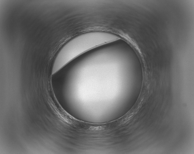 X0000057560057200509160821