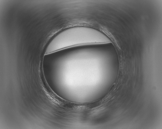 X0000057560058200509160821