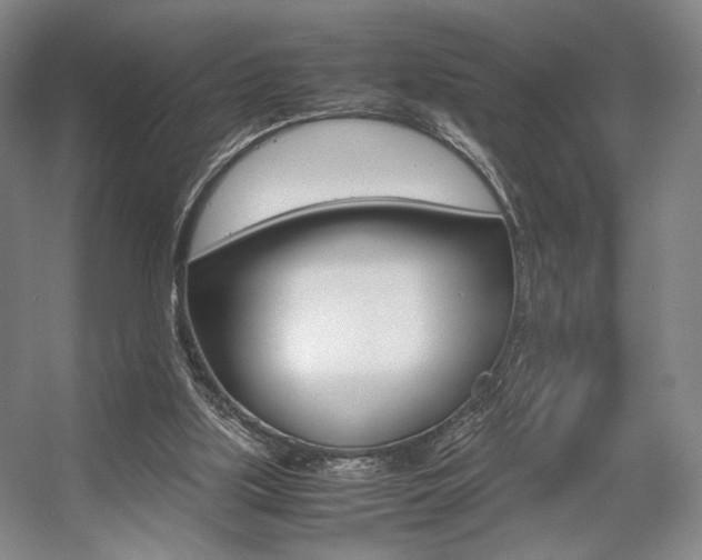 X0000057560059200509160821