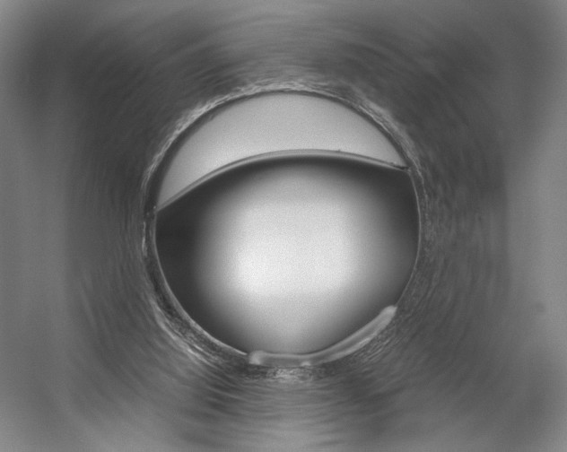 X0000057560060200509160821