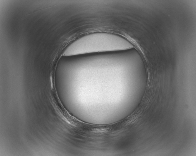 X0000057560061200509160821