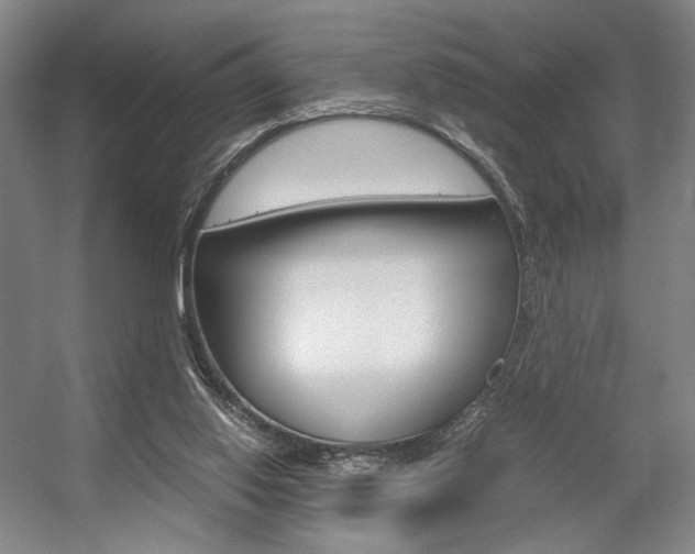 X0000057560062200509160821
