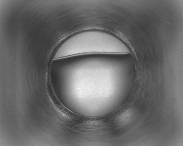 X0000057560063200509160821