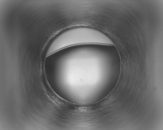 X0000057560064200509160821