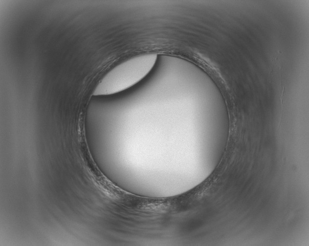 X0000057560065200509160821