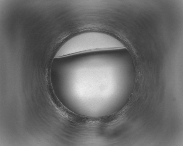 X0000057560066200509160821