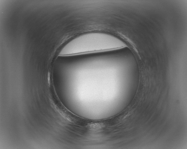 X0000057560067200509160821