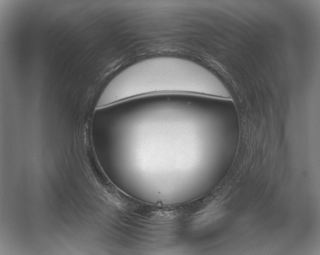 X0000057560071200509160821