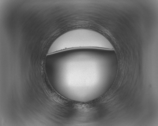 X0000057560073200509160821
