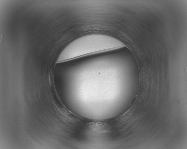 X0000057560074200509160821