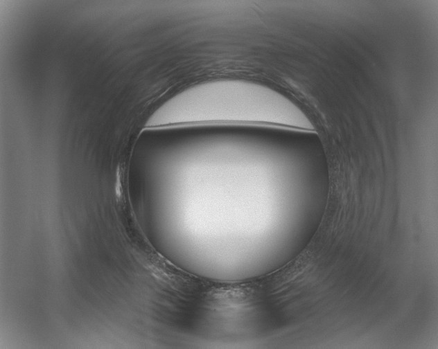 X0000057560075200509160821