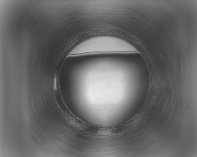 X0000057560076200509160821