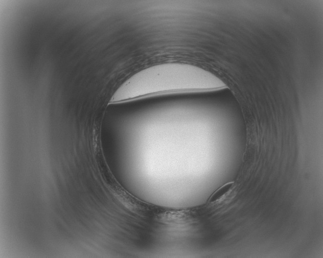 X0000057560086200509160821
