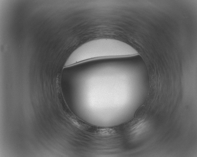 X0000057560087200509160821