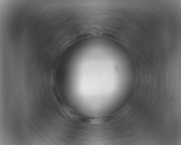 X0000057560088200509160821