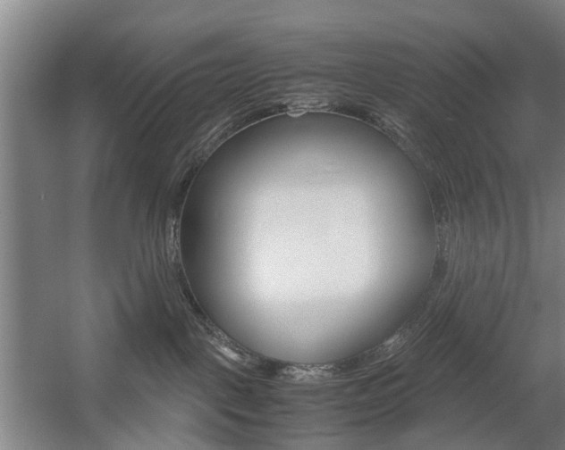 X0000057560093200509160821