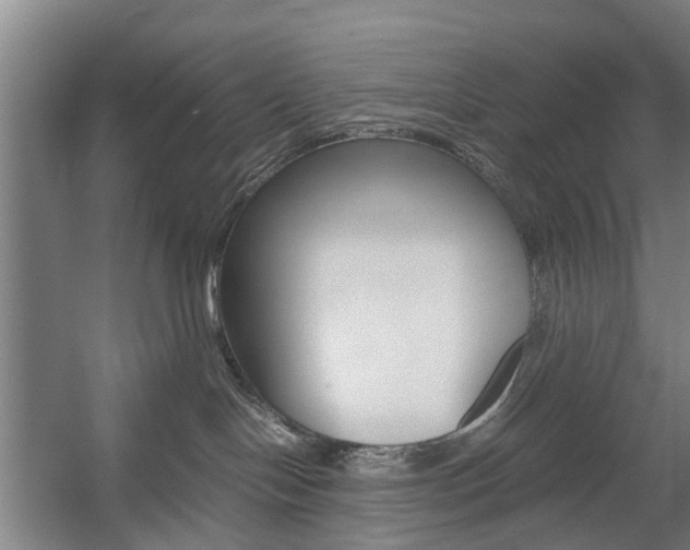 X0000057560094200509160821