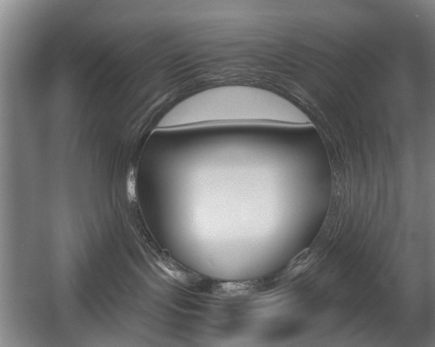 X0000057560095200509160822