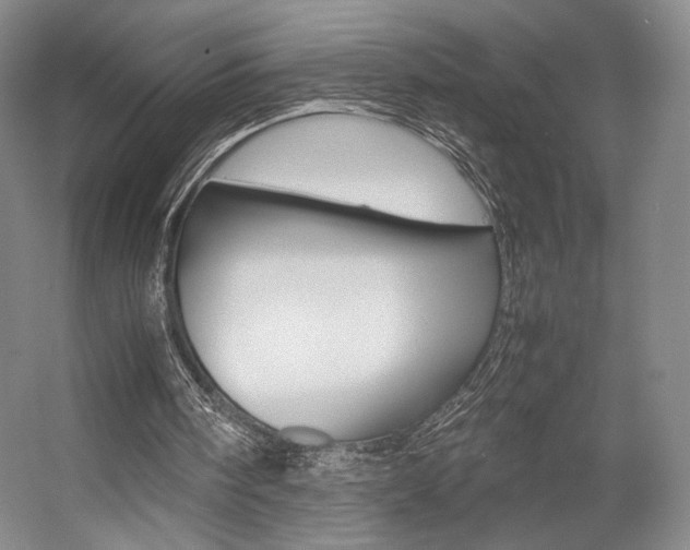 X0000057560098200509160821