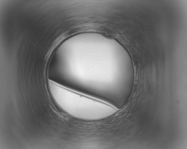 X0000057560099200509160821