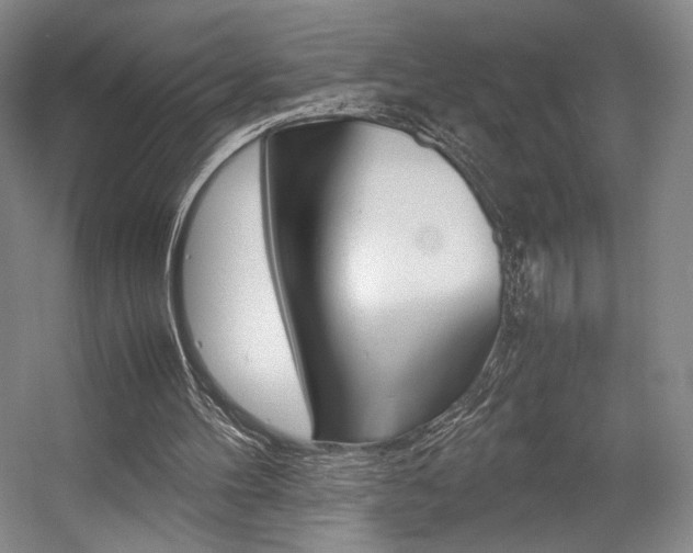 X0000057560100200509160821
