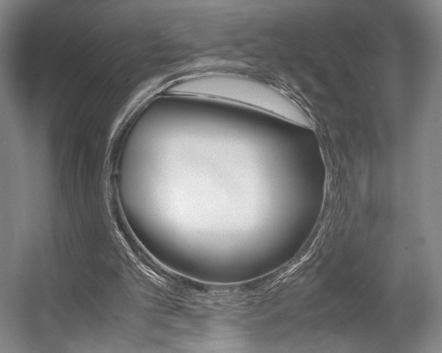 X0000057560101200509160821