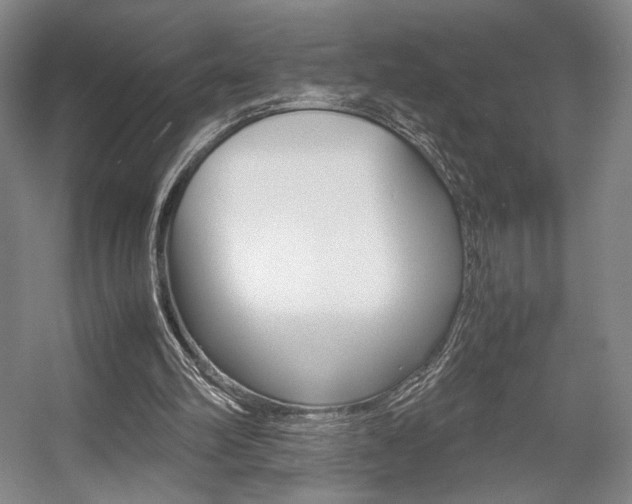 X0000057560102200509160821