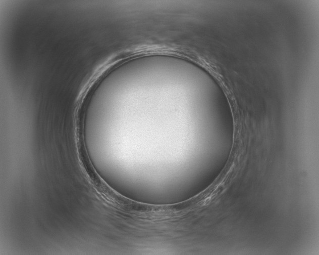X0000057560103200509160821