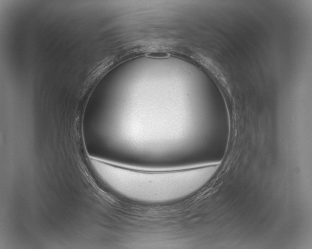 X0000057560105200509160821