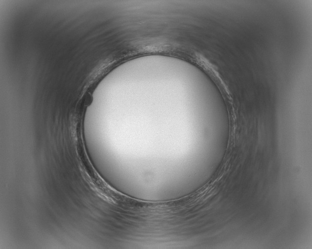X0000057560106200509160821