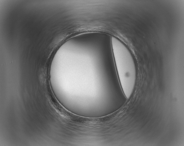 X0000057560107200509160821