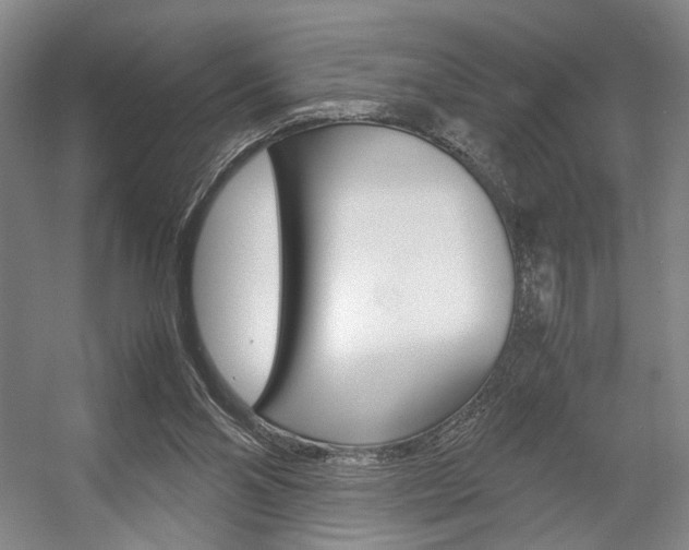 X0000057560110200509160820
